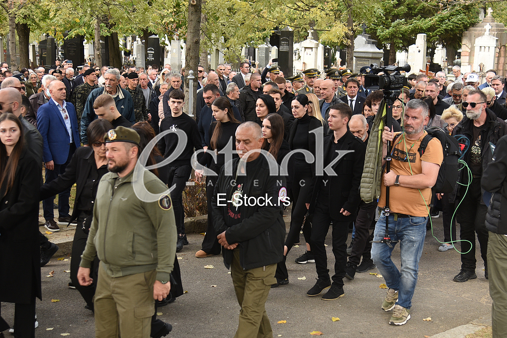 Nebojsa Pavkovic porodica