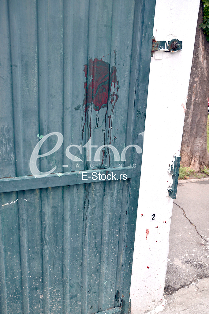 A citizen of Bosnia and Herzegovina, Marko Radovic, was killed in Sevina street in Zemun.