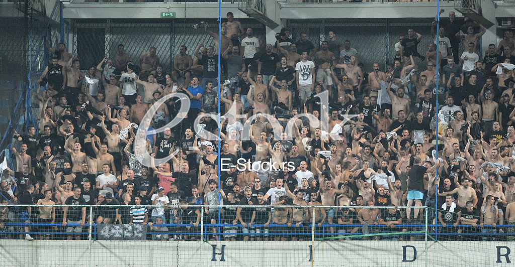 Buducnost Voli Partizan
