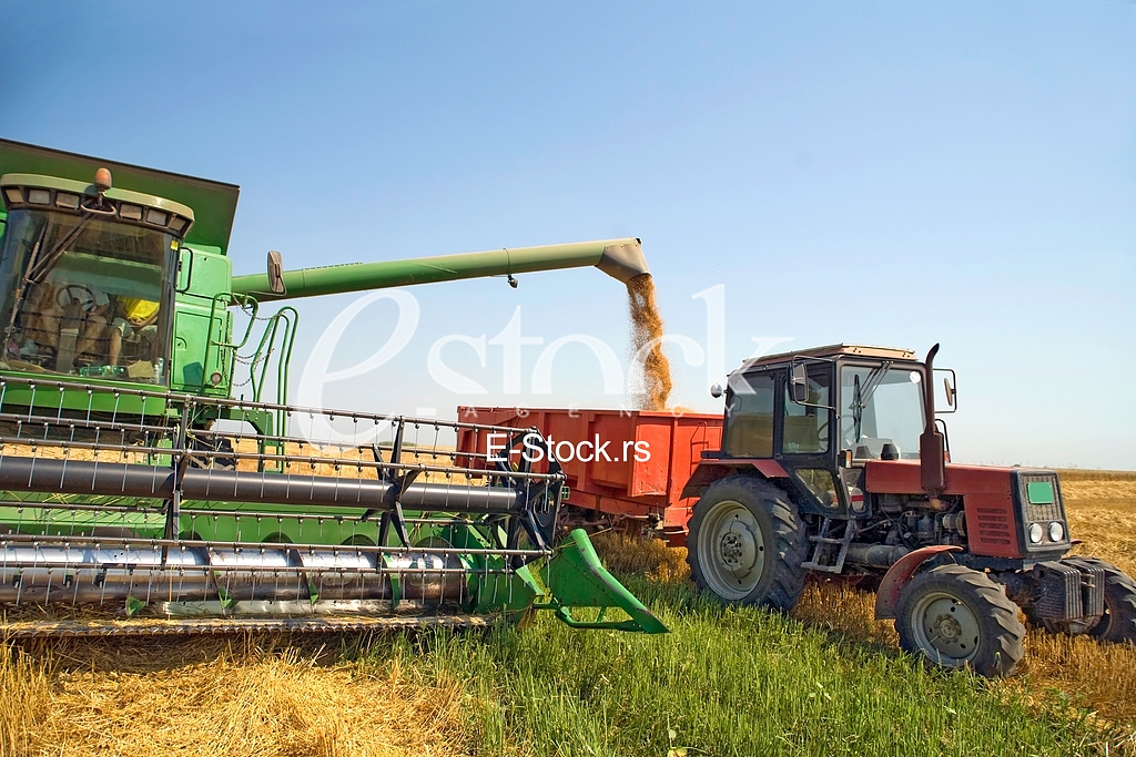 Agriculture