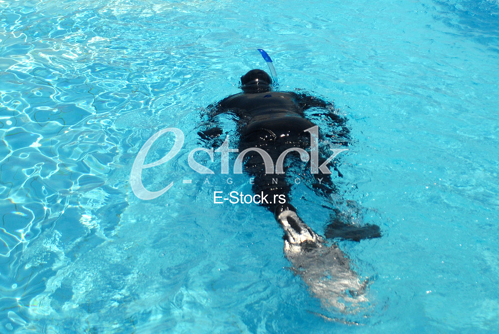 World Championship in freediving