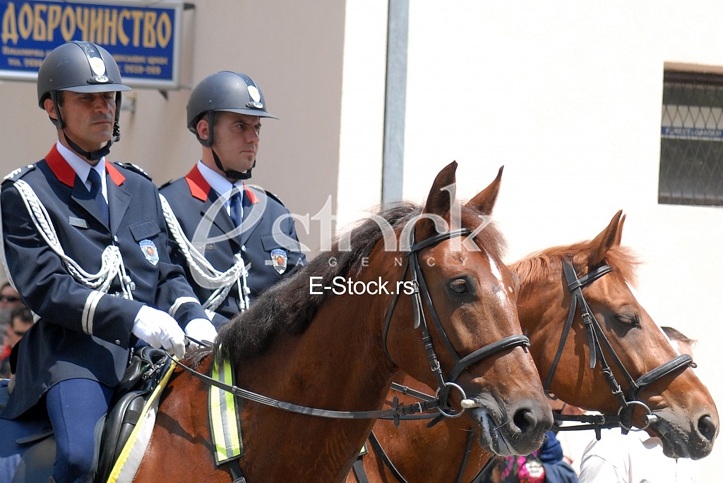 Mounted police patrol