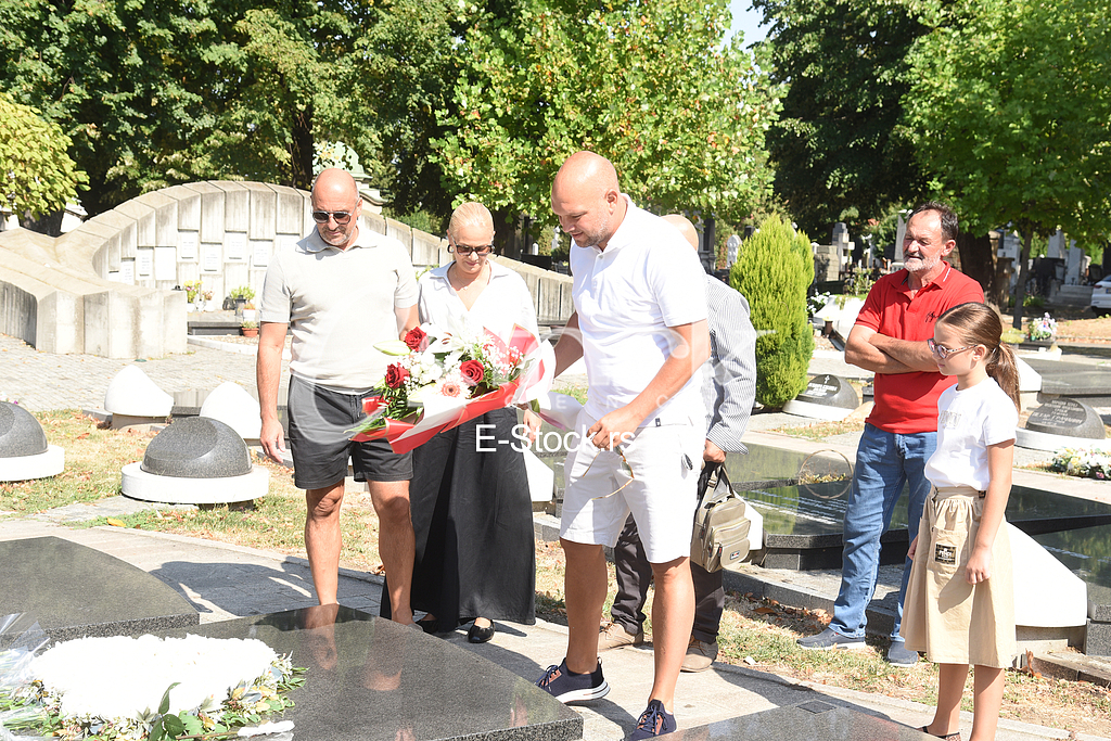 Mihajlo Saulic