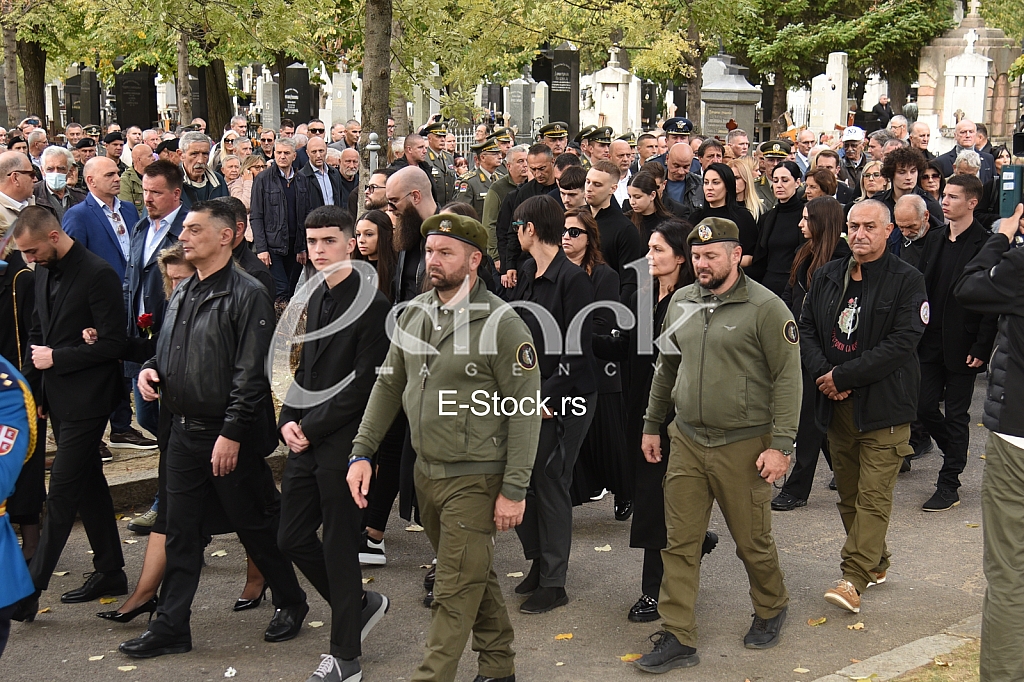 Nebojsa Pavkovic porodica