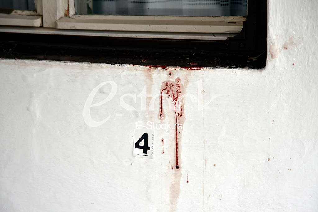 A citizen of Bosnia and Herzegovina, Marko Radovic, was killed in Sevina street in Zemun.