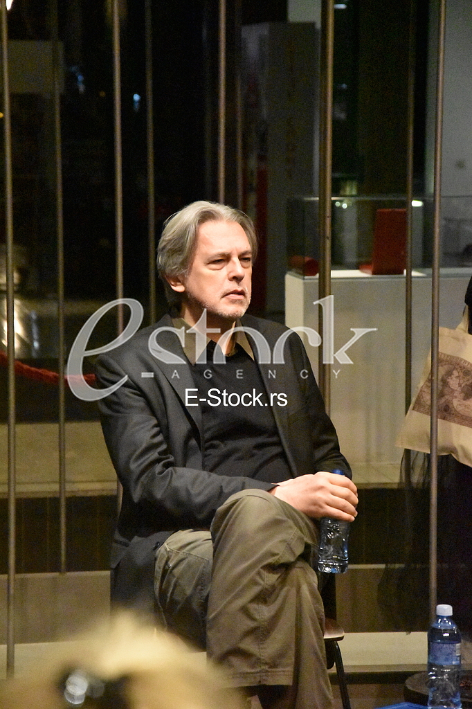 Goran Gocic