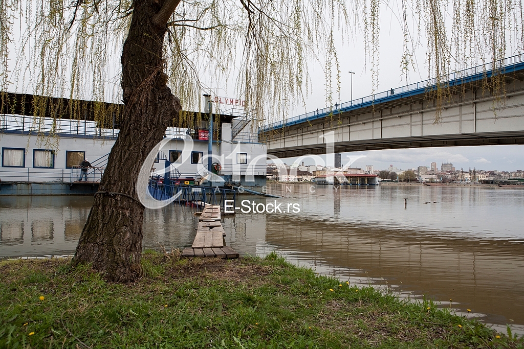 Flood