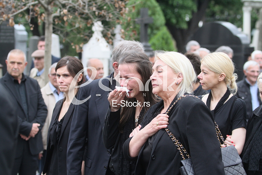 Dragomir Karic Danijela Karic Gordana Karic Slavica Karic