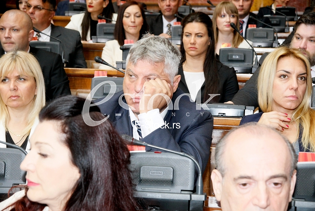 Serbian Assembly session