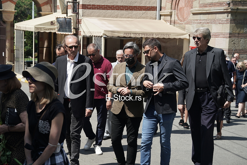 Svetozar Cvetkovic, Ivan Medenica i Milan Maric