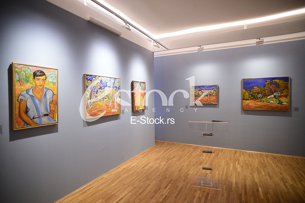 Galerija Petar Dobrovic