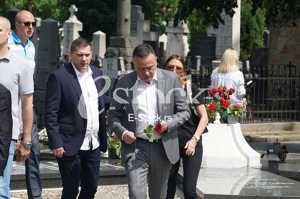 Nikola Nikodijevic, Aleksandar Antic, Pomen Milutinu Mrkonjicu