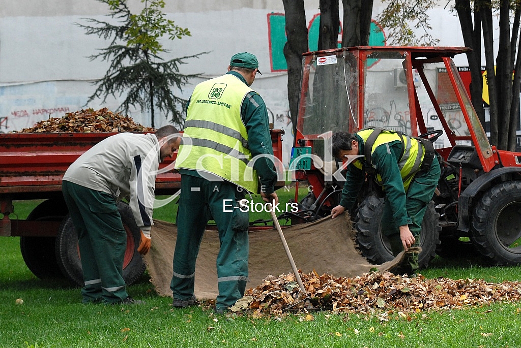 Workers in the park Workers in the park