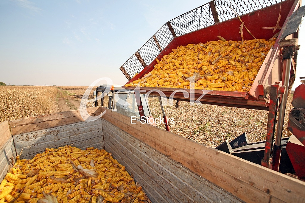 Agriculture
