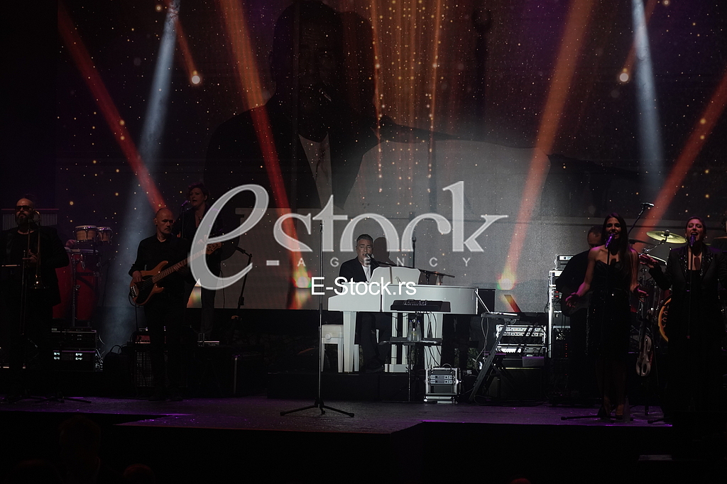 Jeljko Joksimovic koncert topciderac