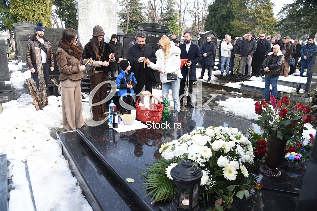 Ceca Raznatovic Bogdana Lidija Ocokoljic