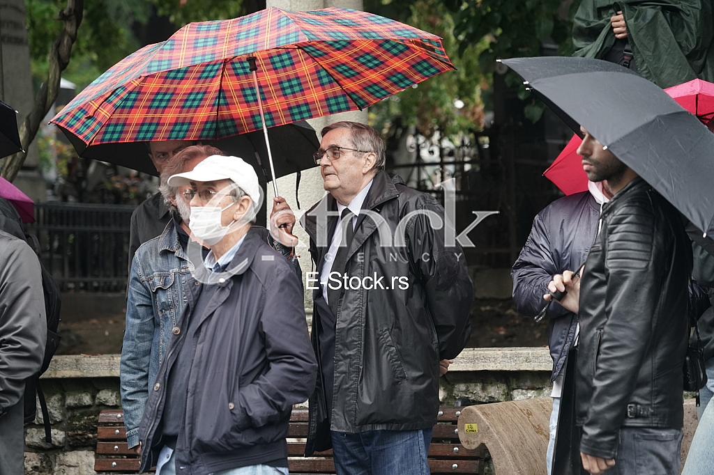 Radoslav Zelenovic Radoslav Zelenovic