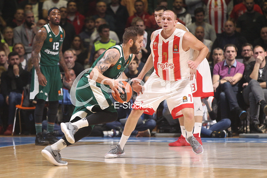 CRVENA ZVEZDA vs PANATHINAIKOS ATHENS