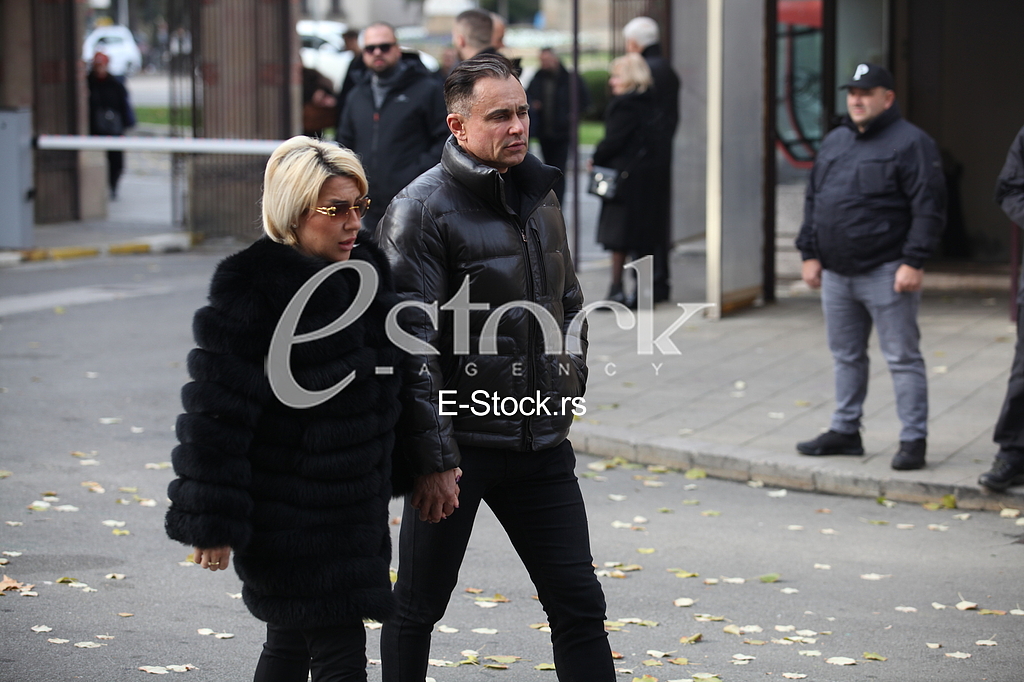jovana jeremic dragan stankovic