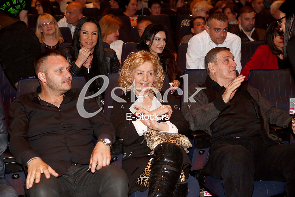 Dejan Petrovic, Lepa Lukic i Milutin Mrkonjic