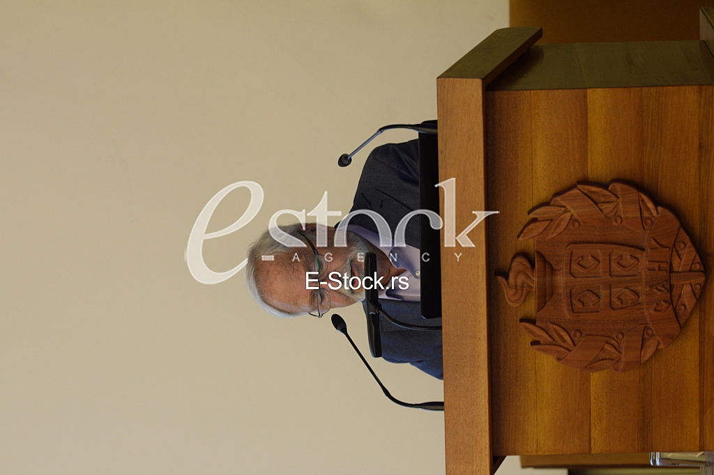 Akademik Milan Lojanica