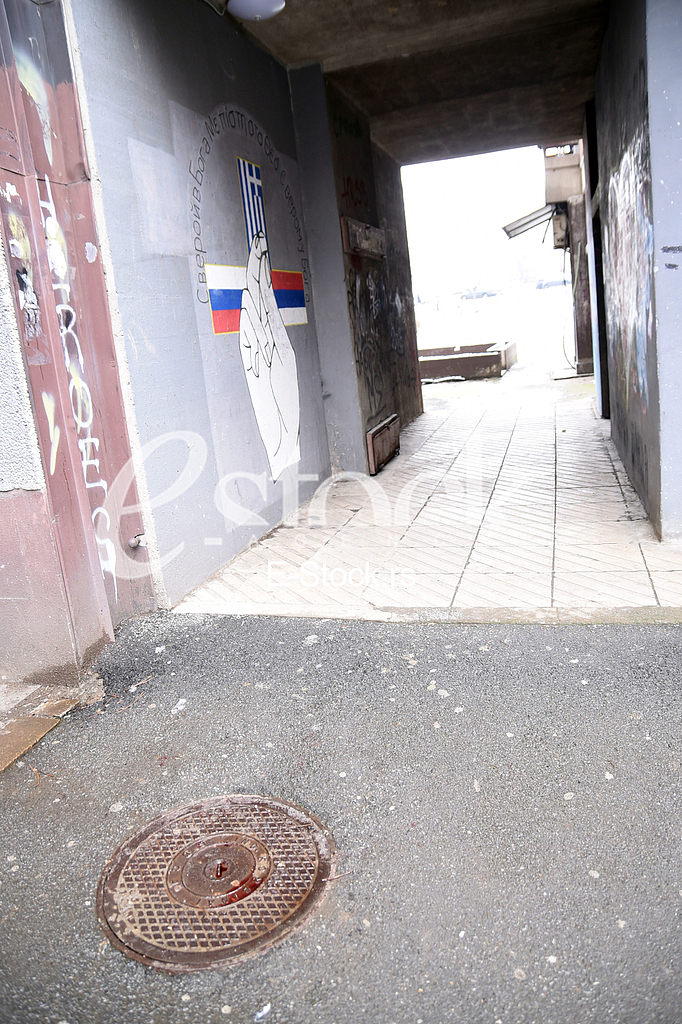 The murder of Dragoje Trisic in Zarkovo
