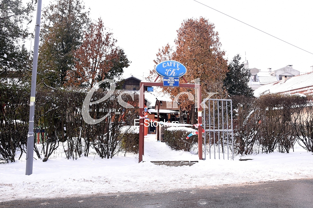 winter