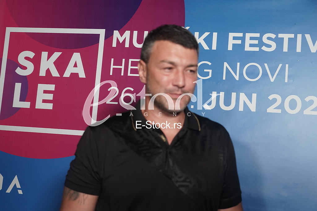 Vladimir Vlada Mandic