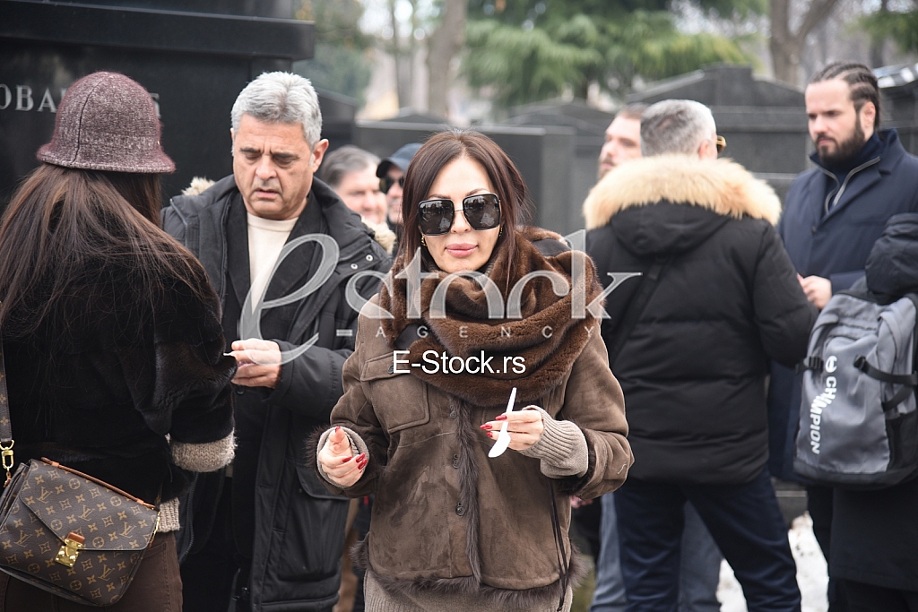 Svetlana Ceca Raznatovic