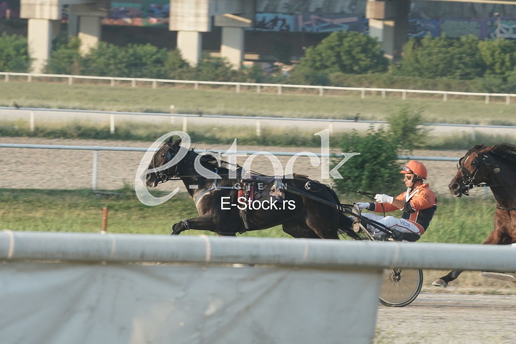 Hipodrom Beograd Srpski galopski derbi