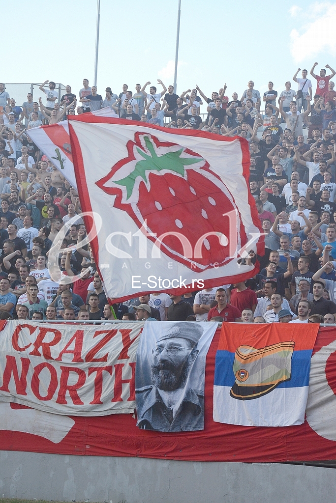 derby Red Star vs. Partisan, Partisan stadium