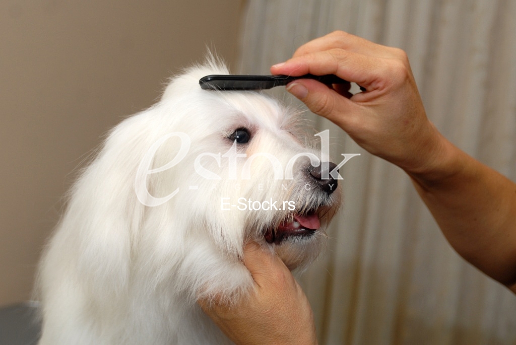Grooming