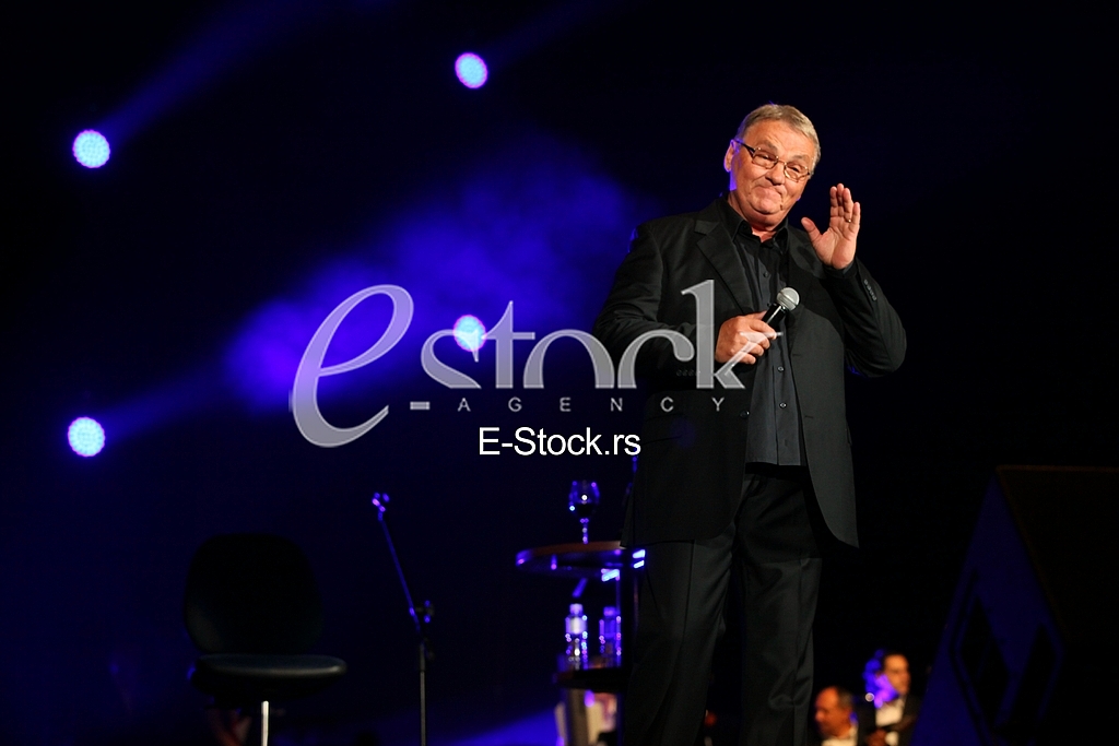 Zoran Kalezic Concert