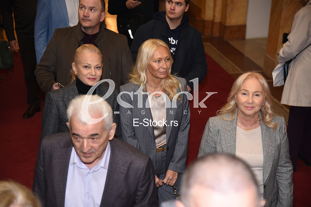 Ilda Goca Sanela Saulic