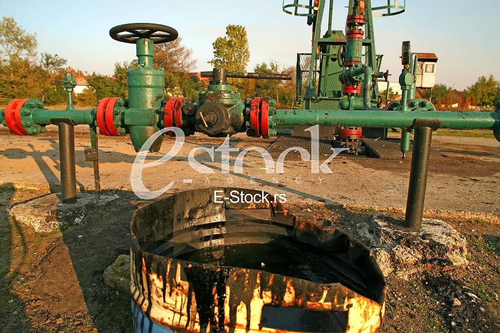 Oil