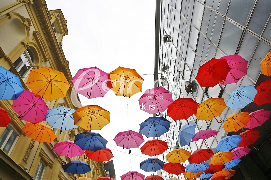 umbrellas in different colors 