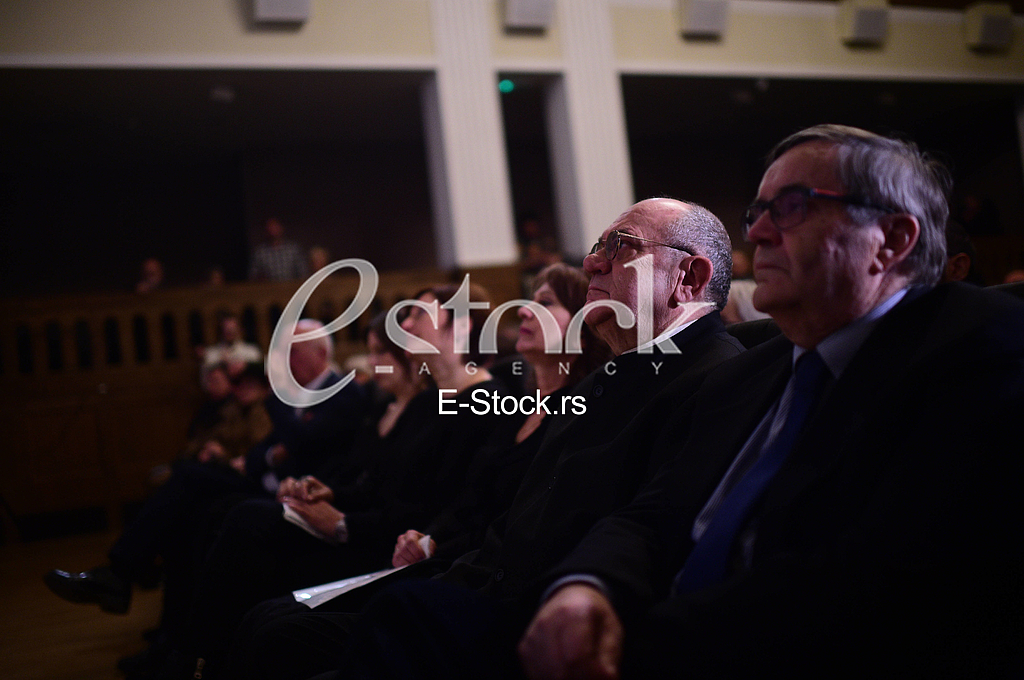 Fedja Stojanovic, Radoslav Zelenovic
