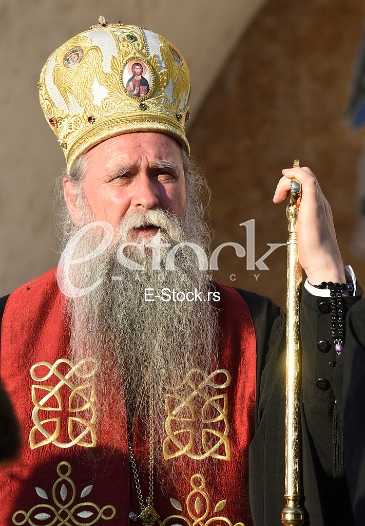 Episkop budimljansko-niksicki Joanikije