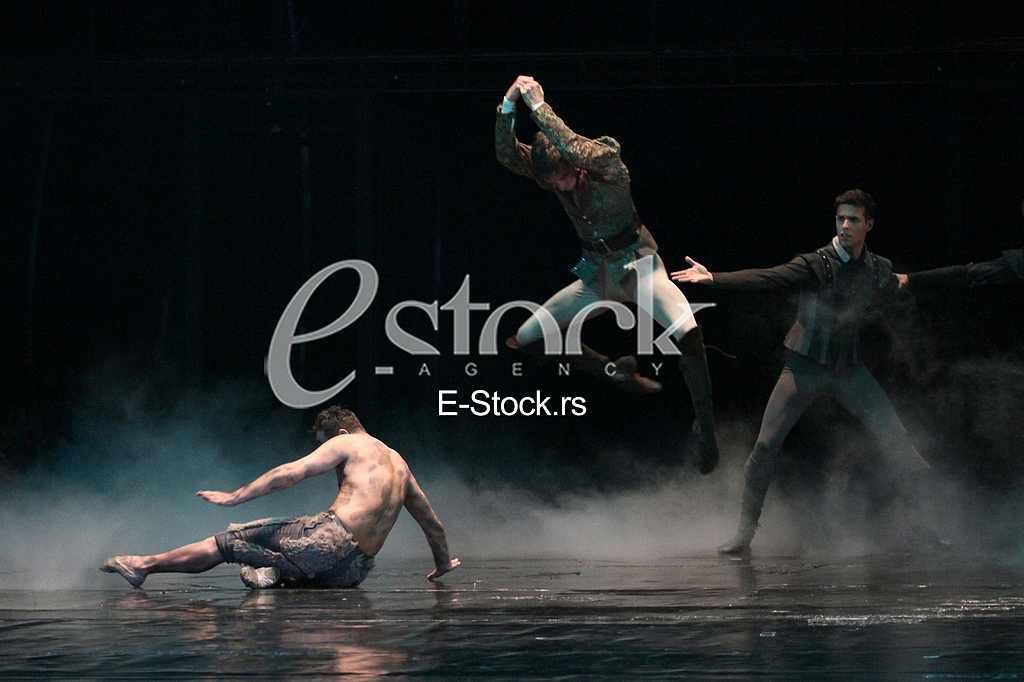 Ballet Queen Margot