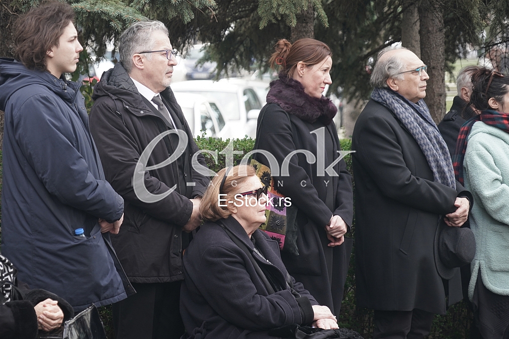 Milica Mihajlovic i Vojislav Voja Brajovic