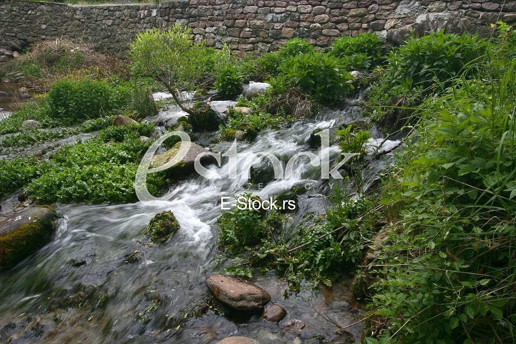 Mountain river flowing at summer forest landscape