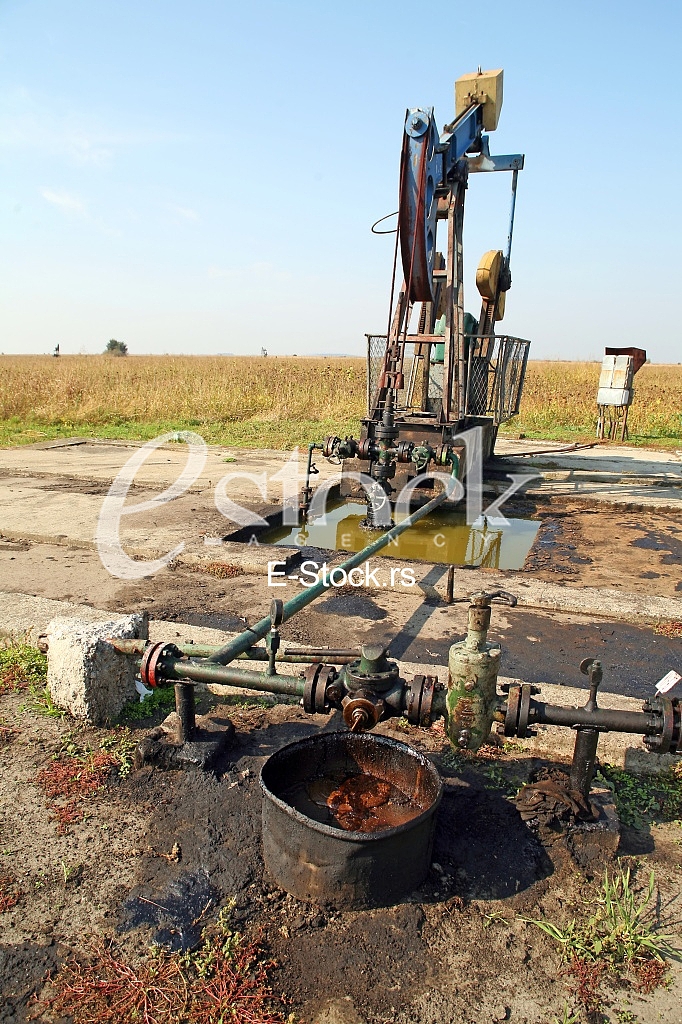 Oil