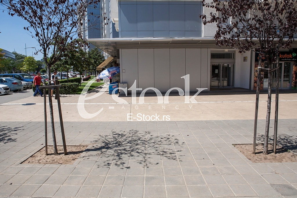 Murder place of Aleksandar Stamenkovic