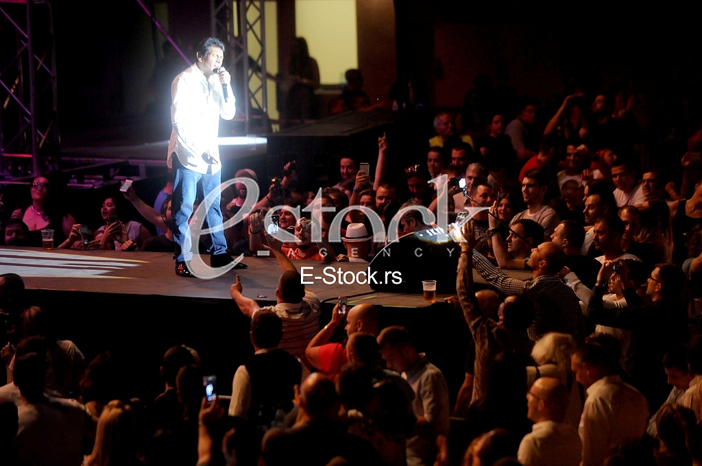Sinan Sakic koncert