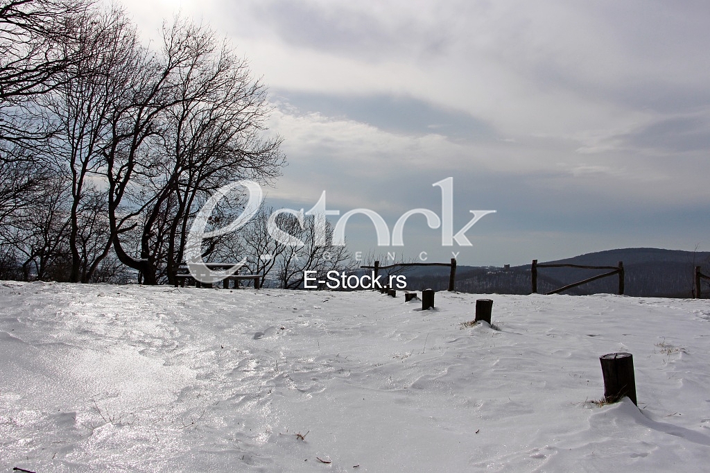 Fruska gora
