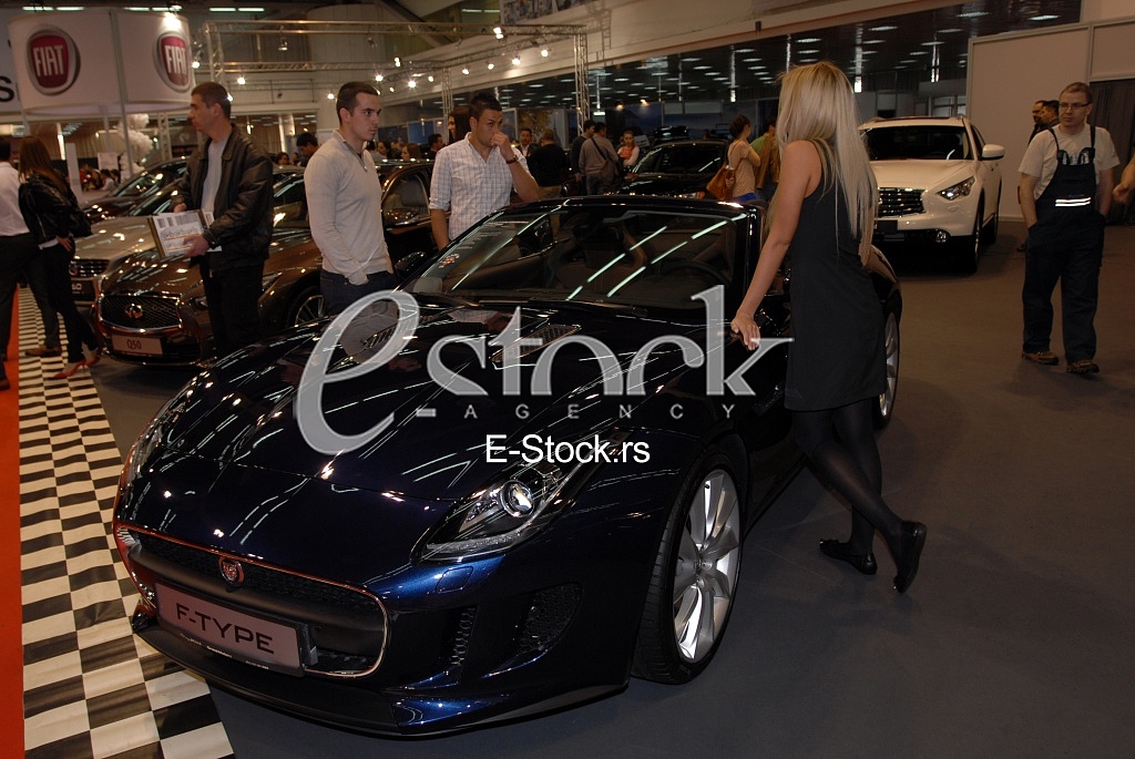 The Car Show