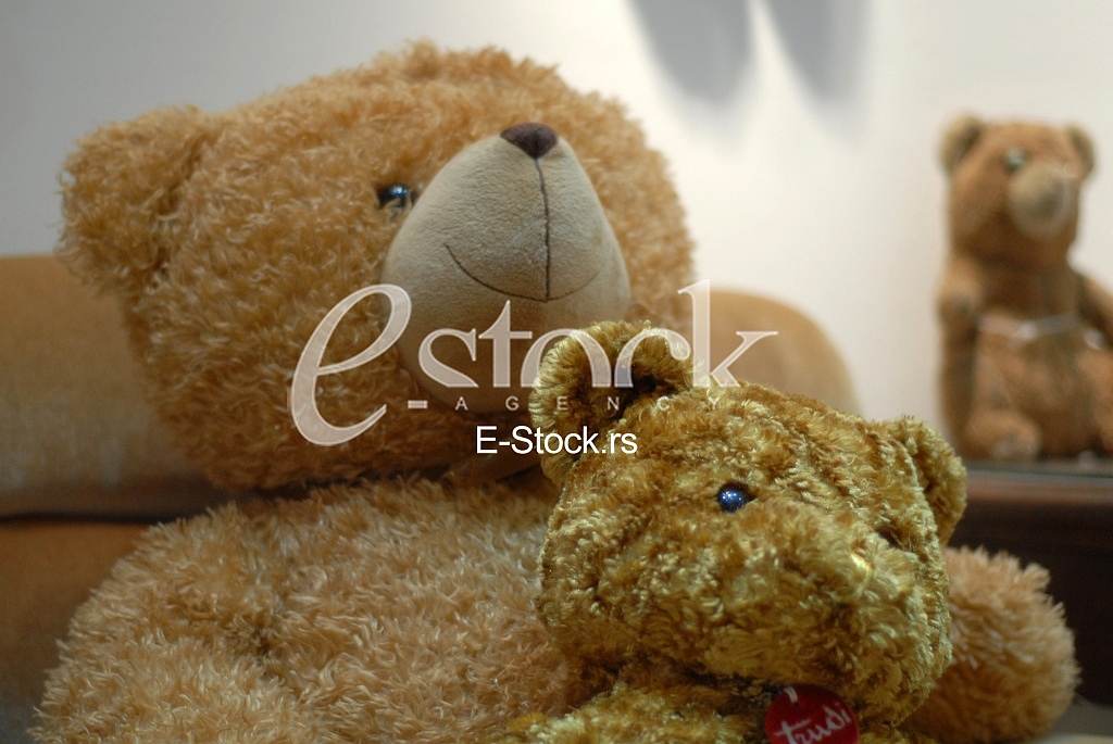 Exhibition teddy bears toys