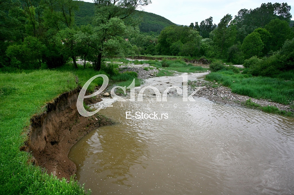 Mountain river flowing at summer forest landscape