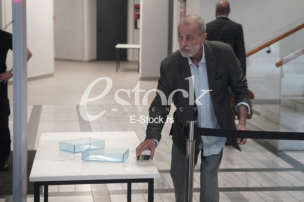 Miroslav Aleksic