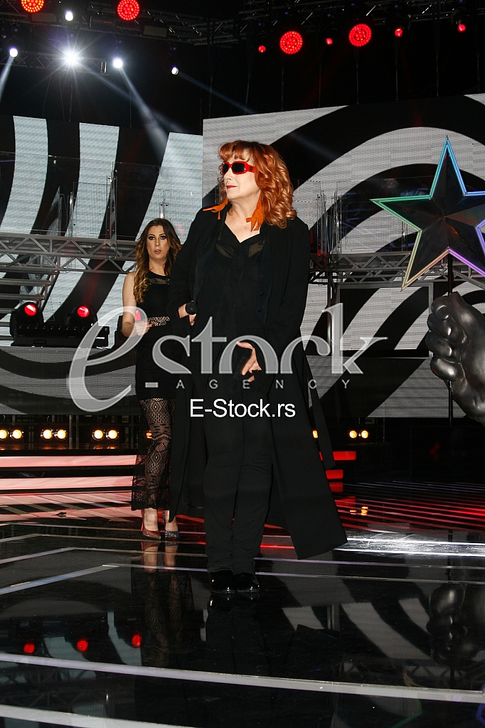 tv pink, amidzi sou, zadrugovizija